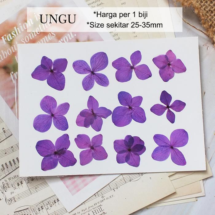 Gambar Bunga Kering ASLI HYDRANGEA Real Dry Pressed Flower Isi Resin Nail Art - Ungu dari Queen Sunny undefined Tokopedia