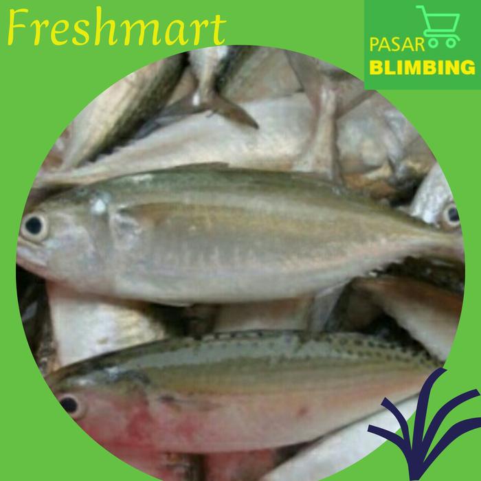 Gambar Ikan Kembung segar (1kg) dari Pasar Blimbing Malang undefined Tokopedia