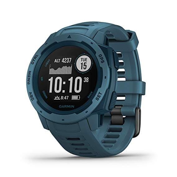 Garmin Instinct Lakeside