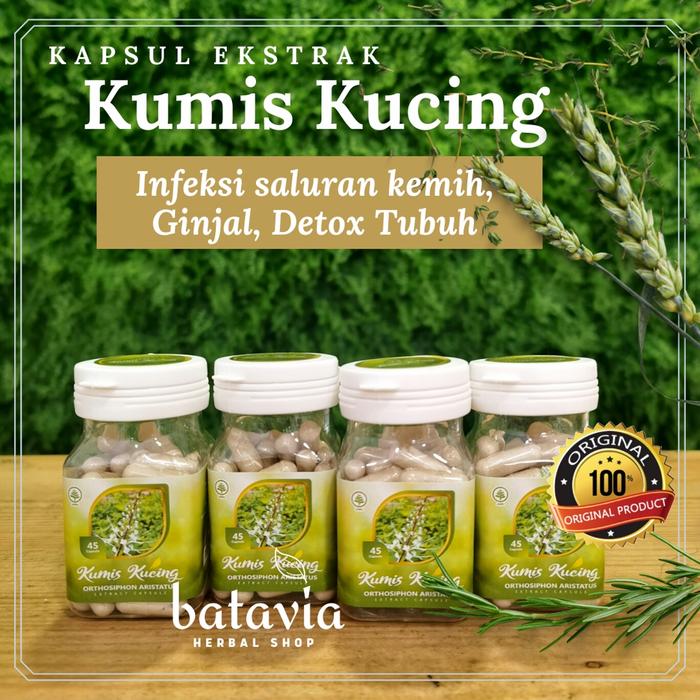 Gambar kapsul ekstrak kumis kucing 45 kapsul herbal batu ginjal detox dari Batavia Herbal Shop undefined Tokopedia
