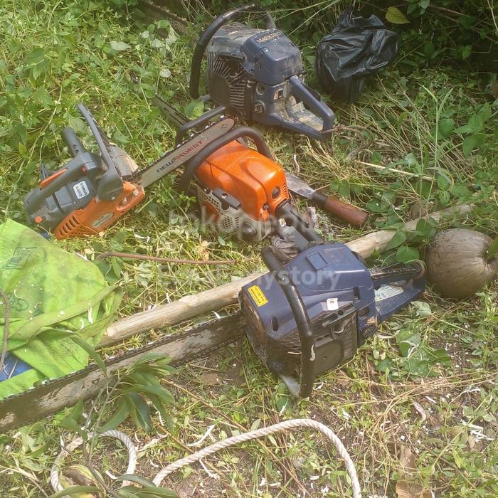 Gambar TUKANG/JASA TEBANG POHON BOGOR dari ECHA EARLY STORY undefined Tokopedia