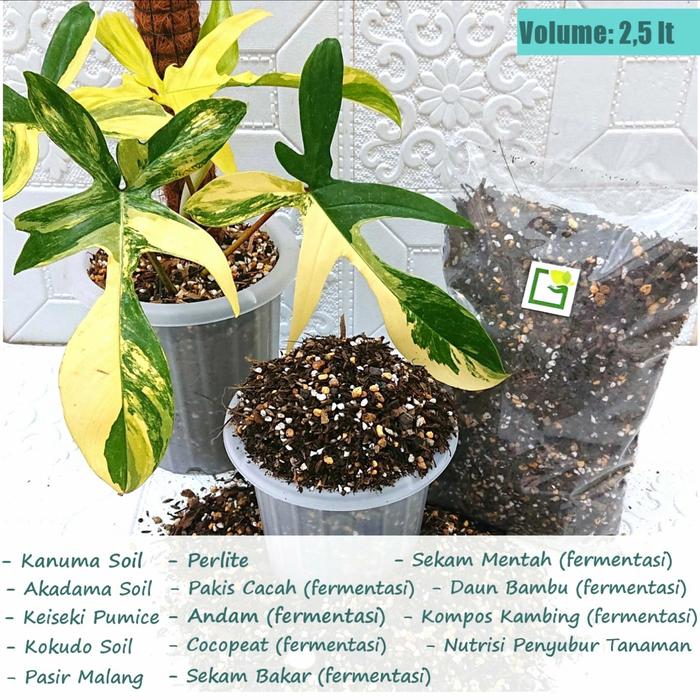 Gambar Media Tanam untuk Tanaman Variegata / Sultan - Full Fermentasi dari Joroyoyo undefined Tokopedia