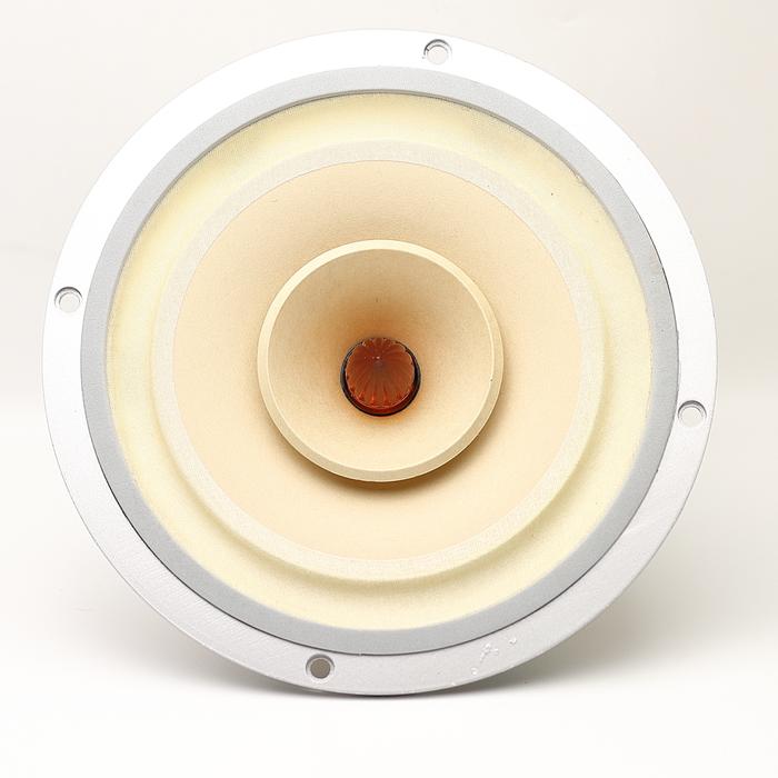 Gambar Lii Audio Fast-8 8" Full Range Speaker Pair dari Muse Components undefined Tokopedia