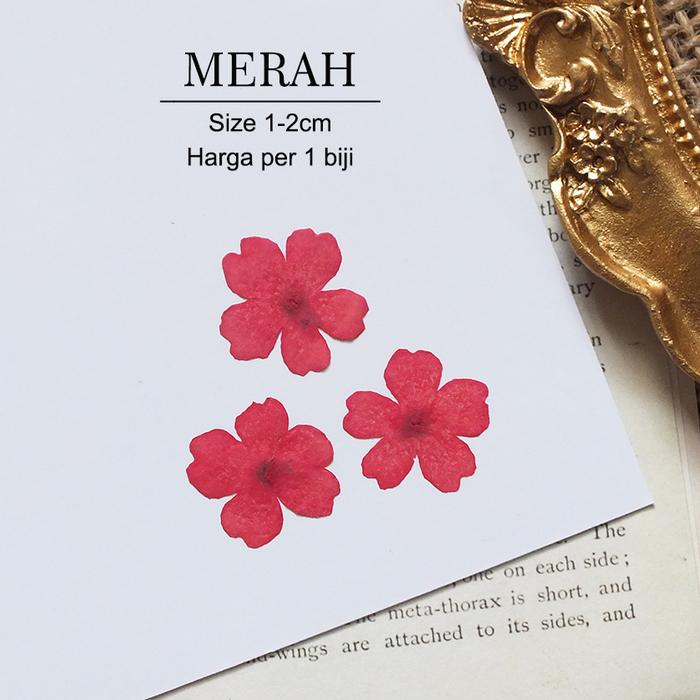 Gambar Bunga Kering Kecil SAKURA Real Pressed Flower Hiasan Case HP Resin - Merah dari Queen Sunny undefined Tokopedia