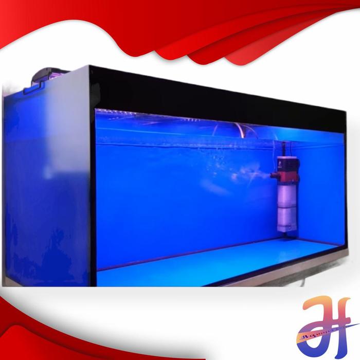 434 Background Hitam Untuk Aquarium Images & Pictures My