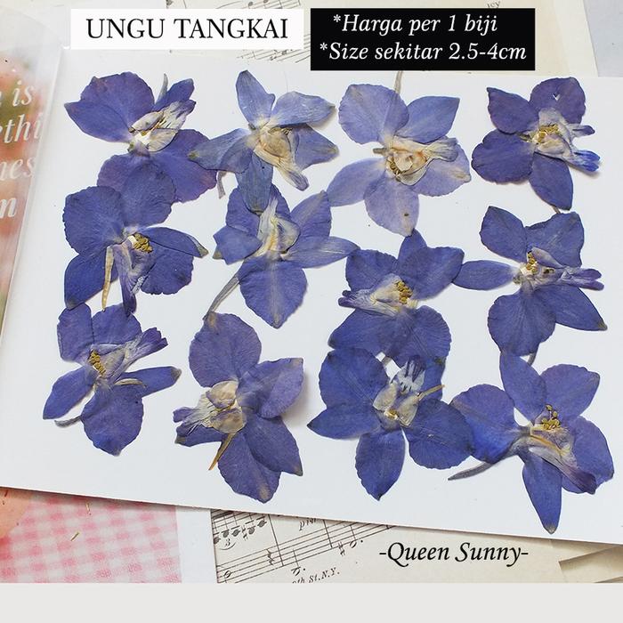 Gambar Bunga Kering Peony Dried Pressed Flower Isi Resin Hiasan Topping TPG39 - Ungu-Tangkai dari Queen Sunny undefined Tokopedia