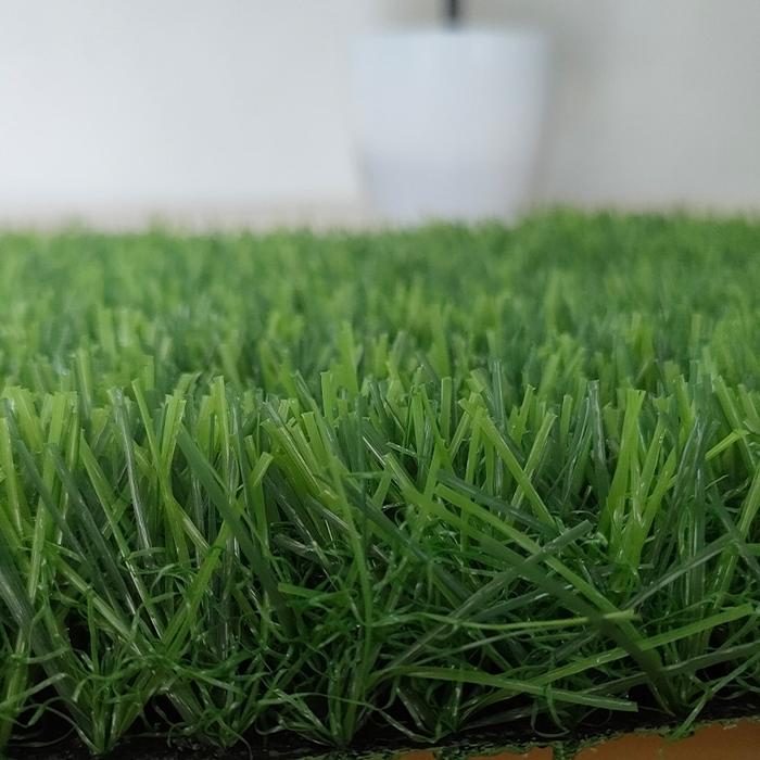 Gambar Rumput Sintetis Aquarium Murah 40x60cm - Swiss, 60x20 dari KFI SPORT OFFICIAL undefined Tokopedia