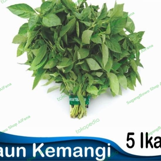 Gambar Daun Kemangi dari SugengBowo Shop undefined Tokopedia