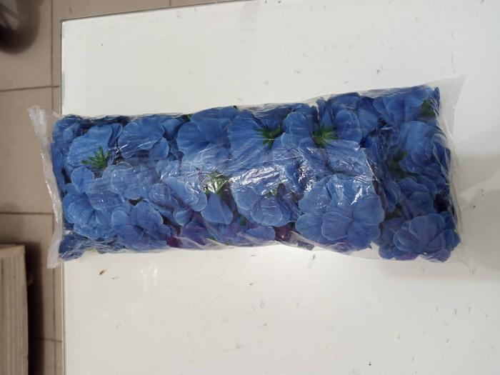 Gambar Bunga suyok /bunga papan/papan bunga ukuran sedang - Biru dari Aanantakaya undefined Tokopedia