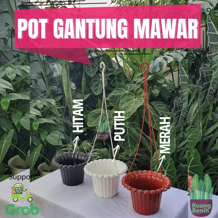 Jual Pot Gantung Tanaman Hias Plastik Pot Bunga Rambat Tempel Putih Mawar - MAWAR-MERAH - Kota Tangerang Selatan - RuangBenih | Tokopedia Jual Pot Gantung Tanaman Hias Plastik Pot Bunga Rambat Tempel Putih Mawar - MAWAR-MERAH - Kota Tangerang Selatan - RuangBenih | Tokopedia