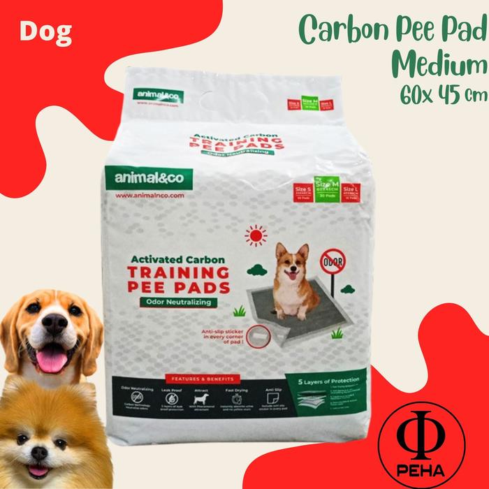 Gambar Popok Anjing Carbon Pee Pad Pet Diaper Alas Pipis Training Pad Medium dari Toko Peha undefined Tokopedia