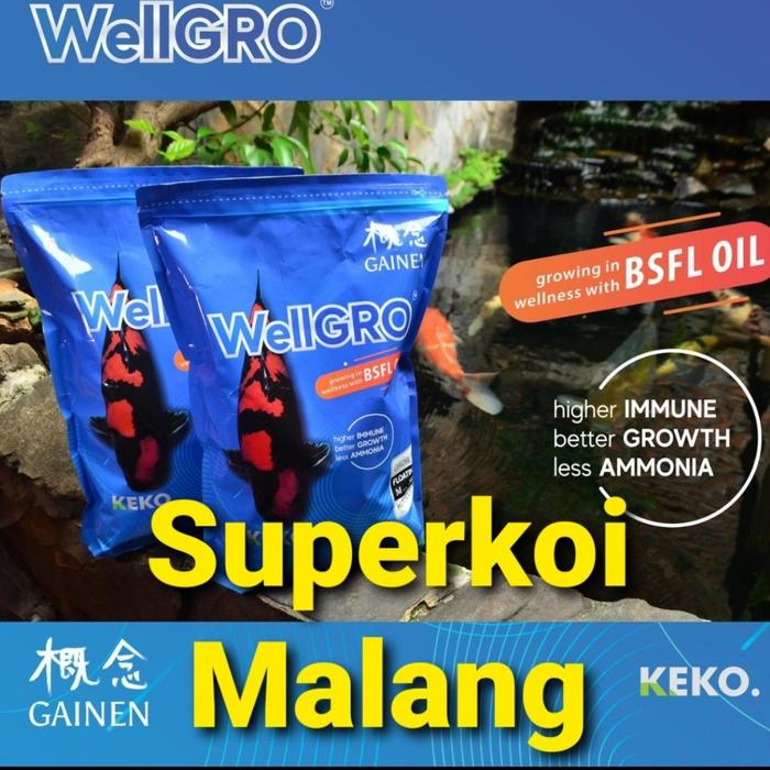 Gambar Wellgro Koi Gainen 2KG 2 KG Pakan Koi Ikan Pelet Well Gro Growth Grow - Ukur S dari Supergame Malang undefined Tokopedia