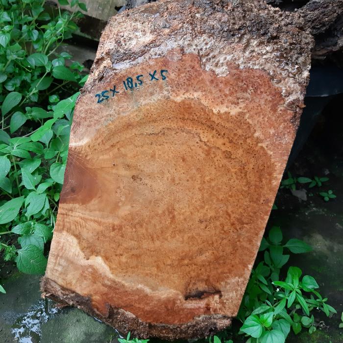 Gambar Kayu Gembol Burl Jati Corak Istimewa dari don setyawan undefined Tokopedia