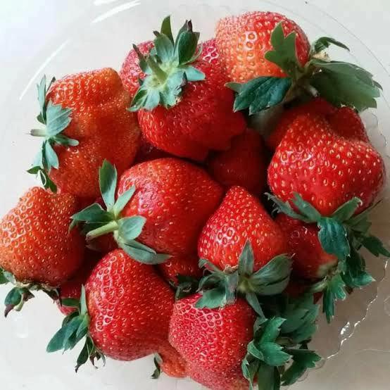 Gambar buah strawberry bandung 1 pack dari Dunia sayur undefined Tokopedia