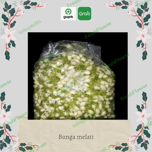 Gambar bunga melati asli fresh dari flower fresh undefined Tokopedia