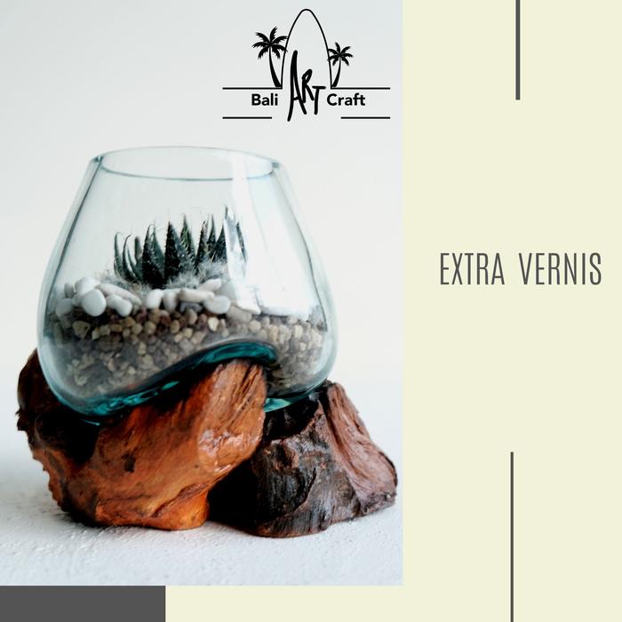 Gambar AKUARIUM IKAN CUPANG 12 CM / KACA TIUP AKAR BALI / AQUARIUM UNIK KAYU - ECTRA VERNIS dari Bali Art Craft undefined Tokopedia