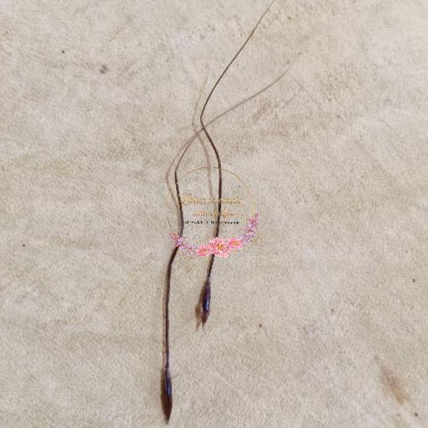 Gambar Rumput bujang | rumput perindu | dried curly grass - Bulu jarum dari kerajinan farm undefined Tokopedia