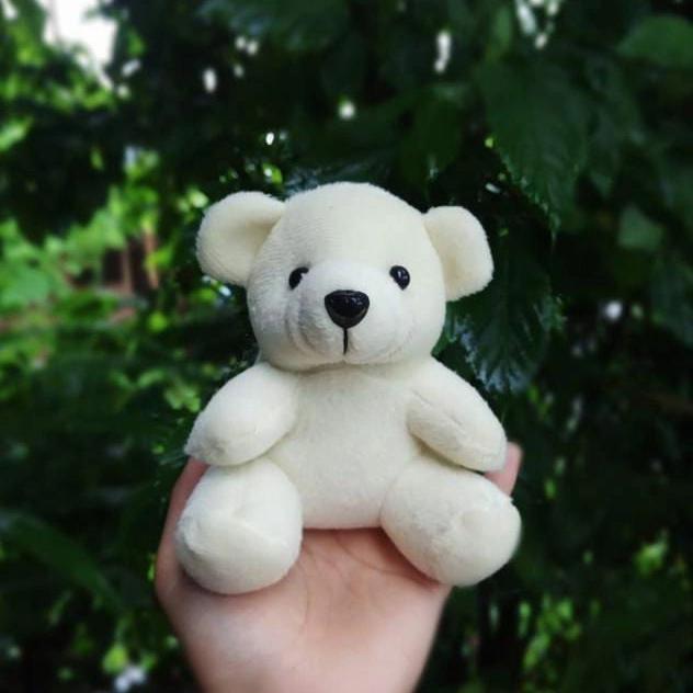Gambar (Termurah) Boneka Mini Bear Polos untuk Hampers, Buket, Paket - Cream dari S2SDolls undefined Tokopedia