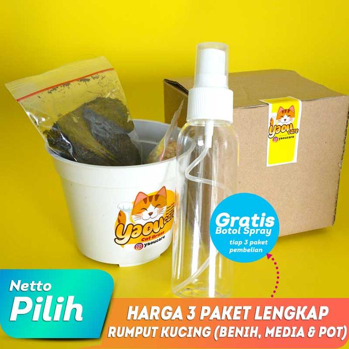 Gambar DIY RUMPUT KUCING /Rumput Gandum Paket Lengkap Pot/Media/Benih 20-25gr - 3 Paket+Spray dari Petosop Ps undefined Tokopedia