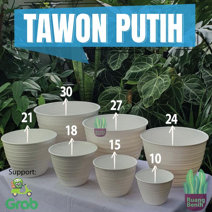 Gambar Pot Tawon Putih Budi Jaya Asli Pot Bunga Pot Tanaman Hias Kuat Premium - TAWON-PUTIH.10 dari Ruang Benih undefined Tokopedia
