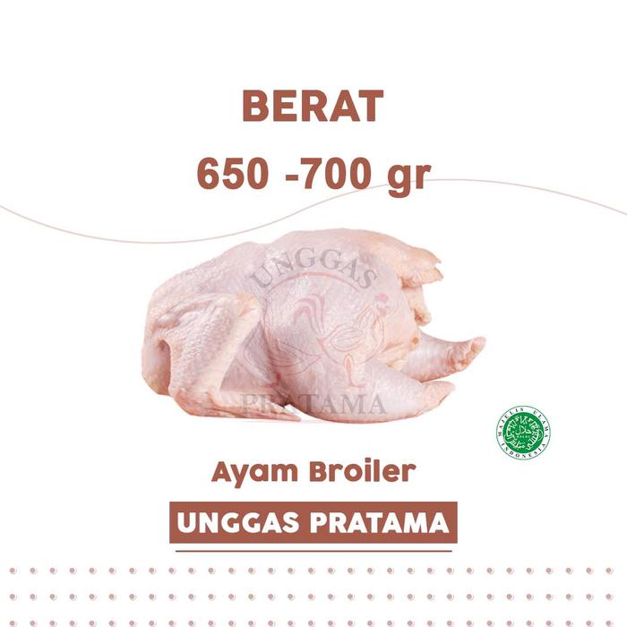 700 Gram Berapa Kg Promo Ayam Potong Boiler 700 gram - Kota Tangerang - UD Unggas Pratama | Tokopedia