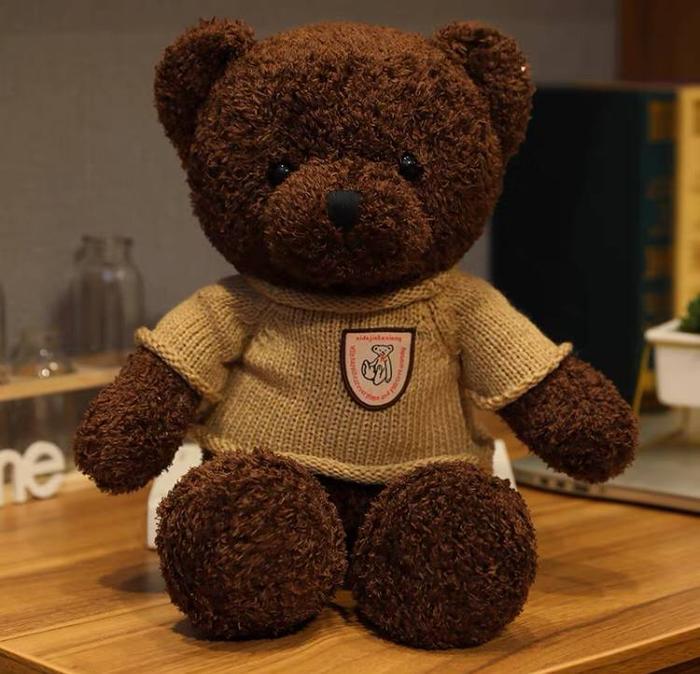 Gambar BONEKA BROWN TEDDY BEAR BERUANG FLUFFY PREMIUM - C.TUA BJ COKLAT, 30CM dari Republik Boneka undefined Tokopedia
