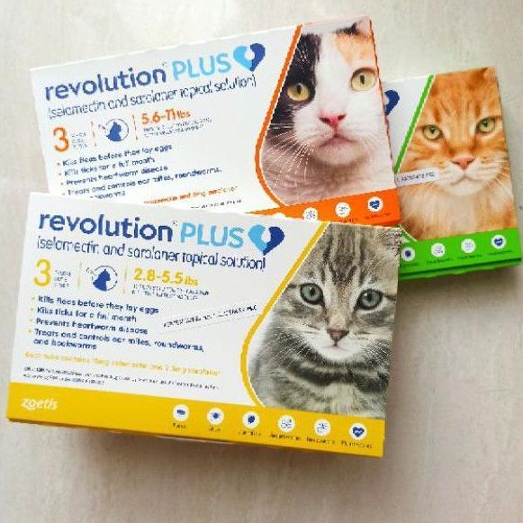 Revolution PLUS Obat Tetes Kutu Anjing Kucing Dog Cat Kitten Puppy  revocat 1,5-2,5 di Picorio Tokopedia