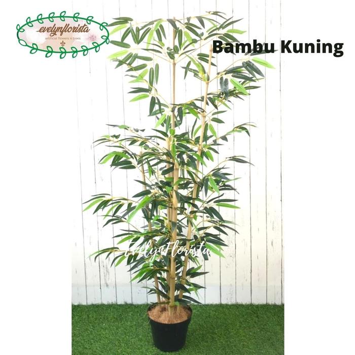 Gambar Pohon Daun Bambu Hijau Kuning Latex Artificial Pot Dasar Plastik Unik - Bambu Kuning dari Evelyn Florista undefined Tokopedia