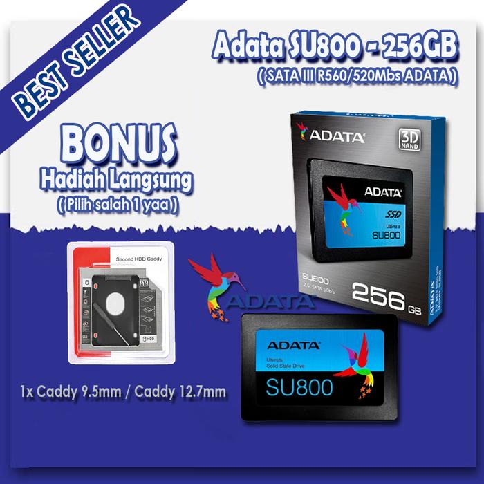 Jual Paket SSD CADDY SU800 256GB SATA III R560/520Mbs ADATA