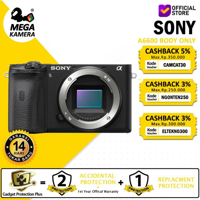 Camera Sony Alpha 6600 Sony Alpha A6600 Mirrorless Digital Camera
