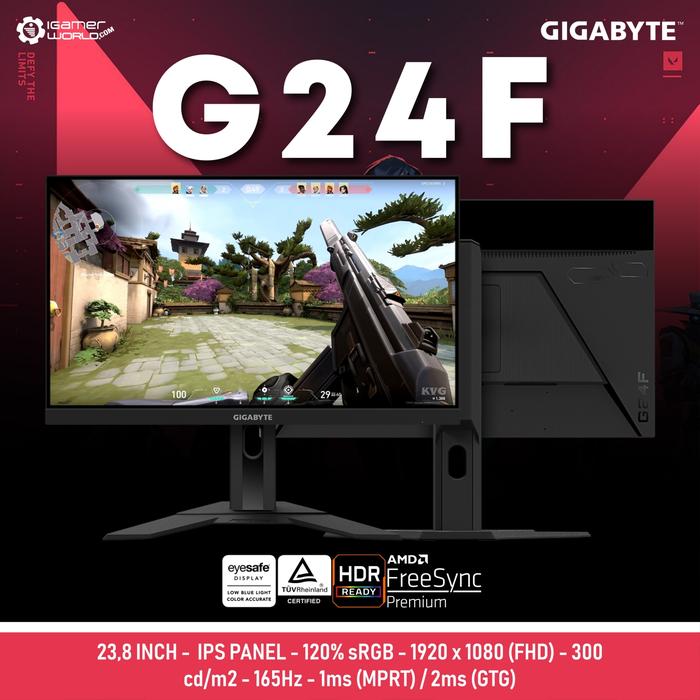 24 inch Full HD 165Hz Gaming Monitor 