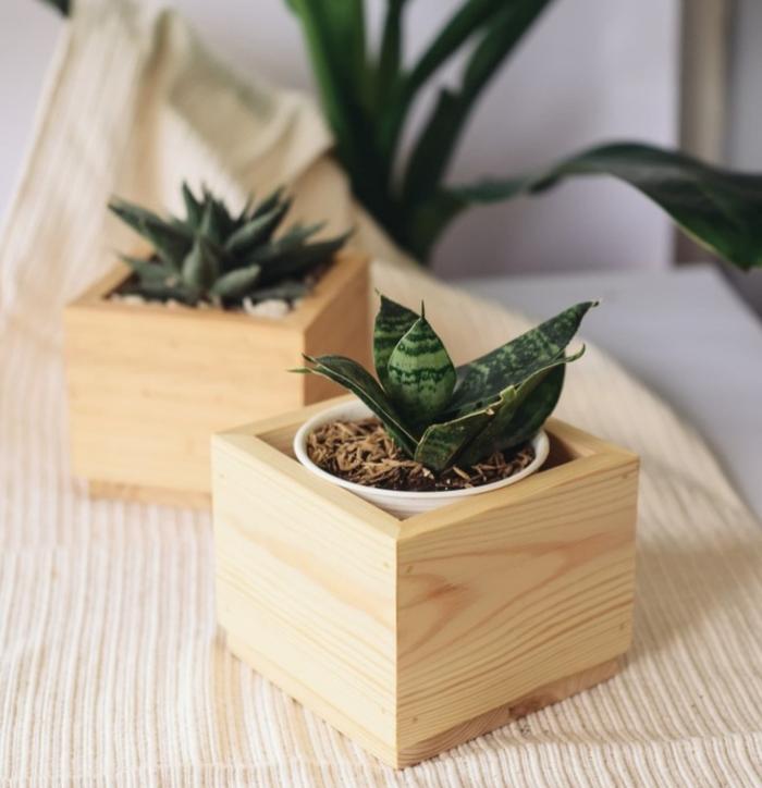 Gambar POT KAYU ANGGREK 20 cm 25 cm pot anggrek vanda gantung tanaman hias - KOTAK (2) 20 CM dari Minigarden Indonesia undefined Tokopedia