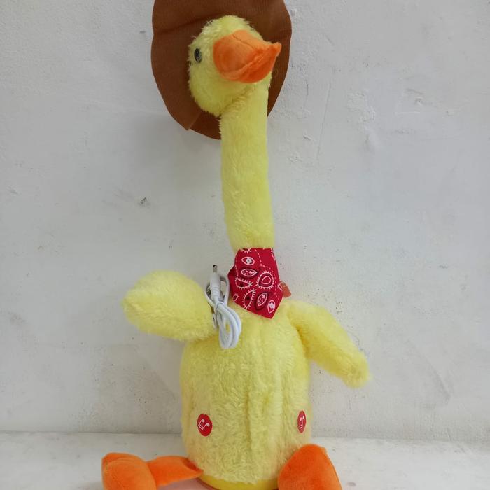 Gambar boneka kaktus goyang boneka kaktus berbicara Boneka kaktus dancing - kaktus dari RAEHANTOYS undefined 5 Tokopedia