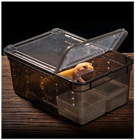 Gambar Kotak Reptil Enclo Reptile Tarantula Vivarium gecko Feeding Box Reptil - Hitam Trnsparan dari Kedai Satwa undefined Tokopedia