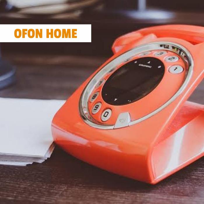 Si Penjual Online: Sebuah Studi Kasus tentang Keberhasilan dan Tantangan di Era Digital