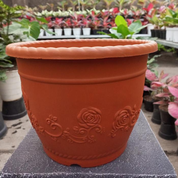 Gambar Pot Shalom Glory 30cm Putih/Coklat - Cokelat dari Laura Nursery undefined Tokopedia