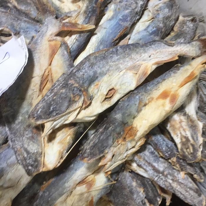 Gambar Ikan Asin Mayung Ikan Jahan Asli Medan 250 gr dari Sangtuacoffee undefined Tokopedia