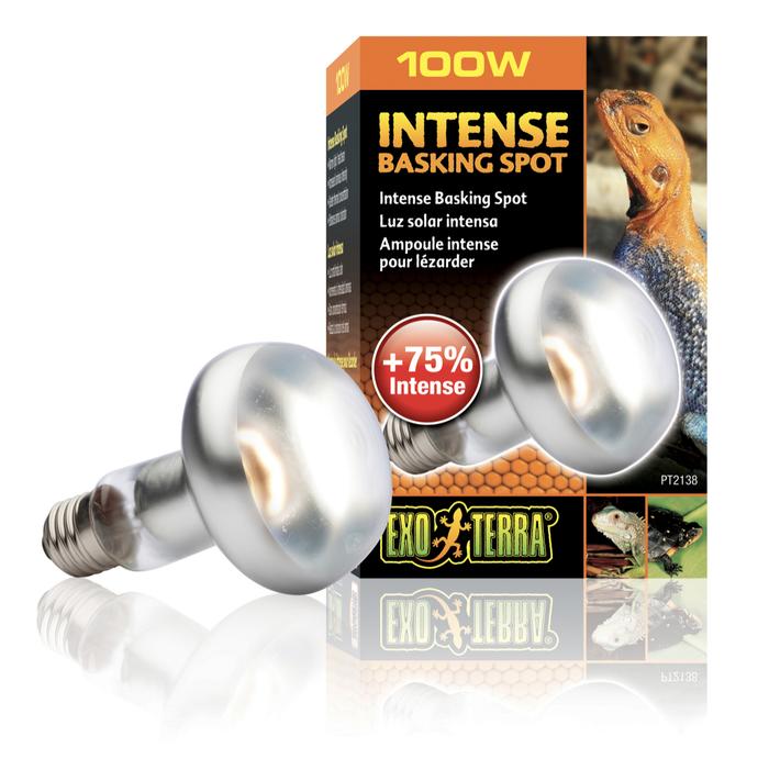 Jual Exoterra Intense Basking Spot 100 Watt UVA Lampu Reptil
