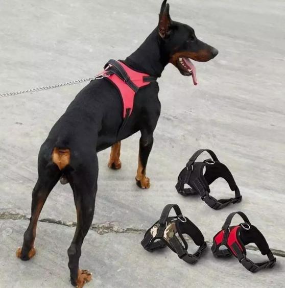Jual Harness Anjing Besar size L M Adjustable strap vest collar