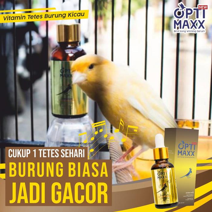 Gambar OPTIMAXX GACOR - VITAMIN BURUNG JUARA LOMBA ANDALAN JAWARA KICAU MANIA dari GizidatJakarta undefined Tokopedia
