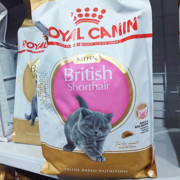 Jual royal canin british shorthair kitten 2kg Kota Bekasi
