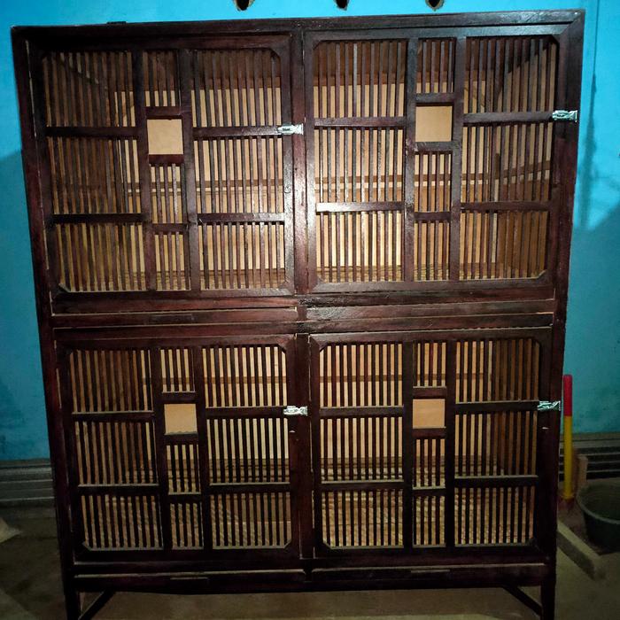 Gambar kandang ayam bangkok / jago 4 pintu ukuran 75x75x75 perpintu - Cokelat dari SANGKARJUNA NEW undefined Tokopedia