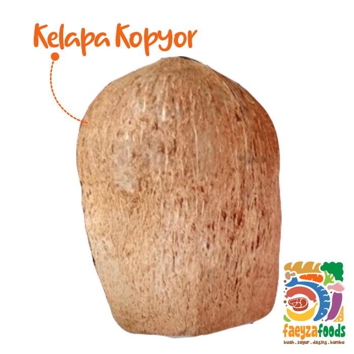 Gambar BUAH KELAPA KOPYOR / PCS dari faeyzafoods undefined Tokopedia
