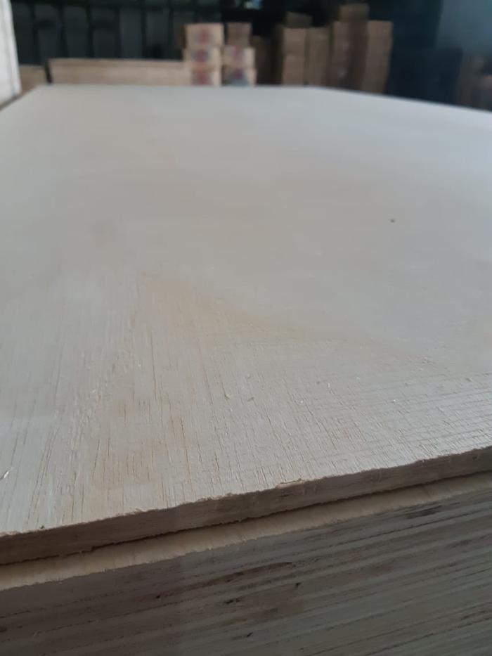 Gambar Triplek Sengon (Albasia) 5 mm dari HPL MULTINDO MAKMUR undefined Tokopedia
