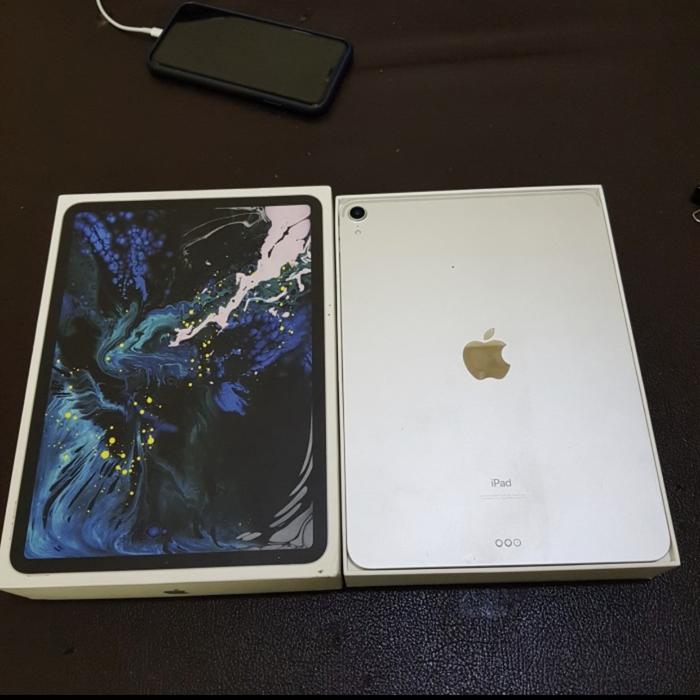 美品 iPad Pro 11 WI-FI 64GB 2018 セルラー シルバー