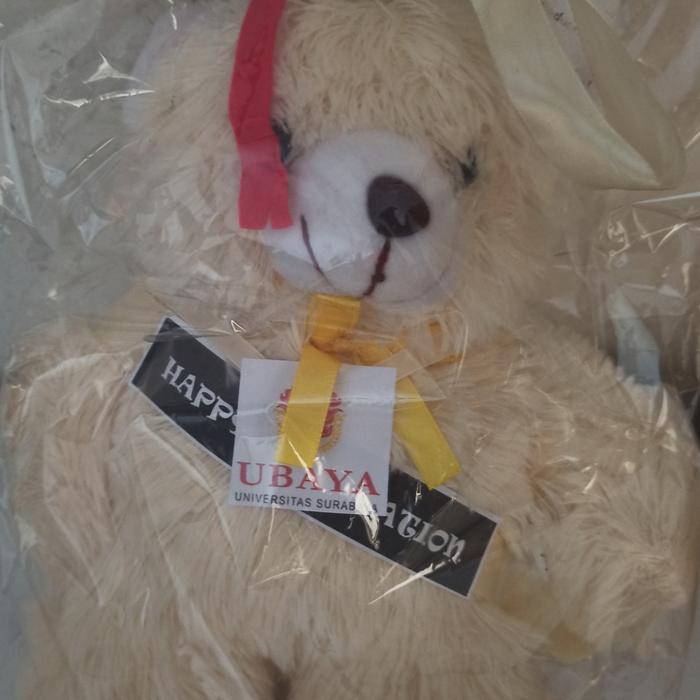 Gambar boneka wisuda beruang putih ubaya online dari Toko Lestari Serba Ada undefined Tokopedia