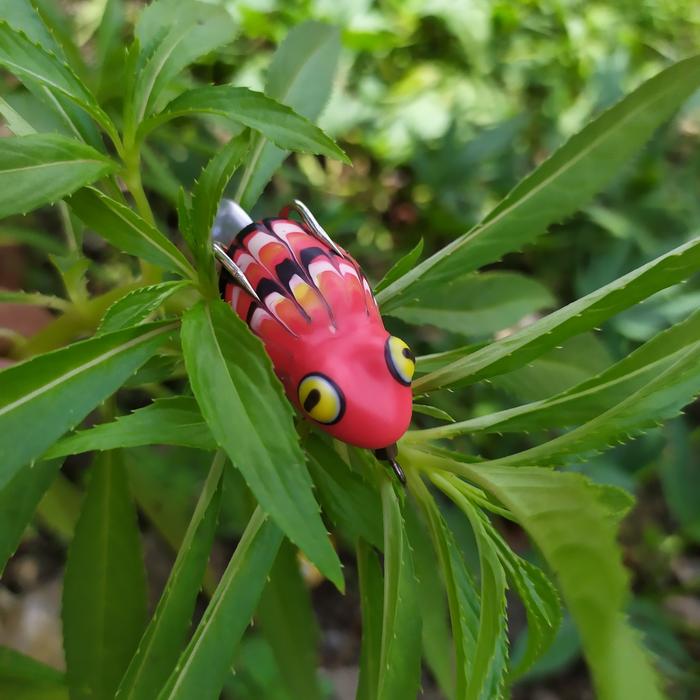 Gambar soft frog 3,3cm - Merah dari Petrick fishing undefined Tokopedia