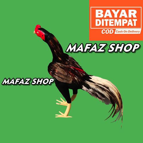 Gambar BONEKA AYAM JAGO BULU ASLI - BONEKA AYAM JAGO ADUAN - Klawu dari MAFAZ_SHOP undefined Tokopedia