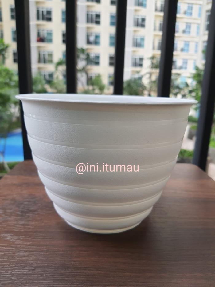 Gambar pot tanaman bunga honey tawon lebah 15 merah hijau biru putih milo - Putih dari frelshop undefined Tokopedia