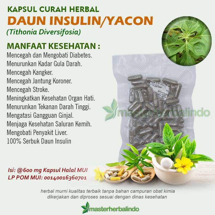Gambar DAUN INSULIN YACON 100 Kapsul Curah Herbal Stroke Diabetes Liver Hati dari masterherbalindo undefined Tokopedia